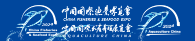 中心小條.gif